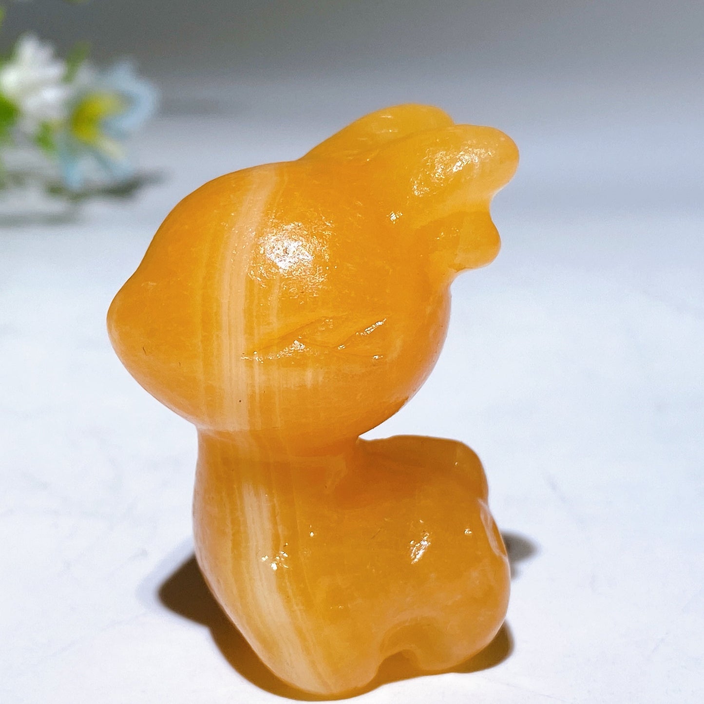 ShineClean™ LiteVac